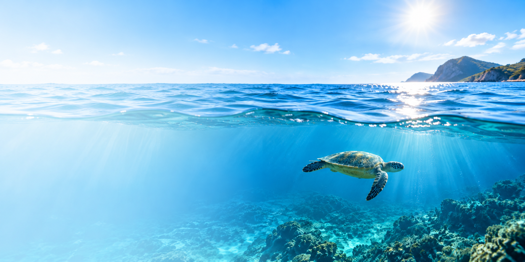 Vue naturelle de l'océan avec une tortue marine sous la surface